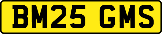 BM25GMS