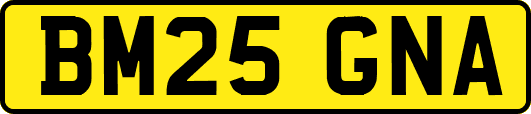 BM25GNA