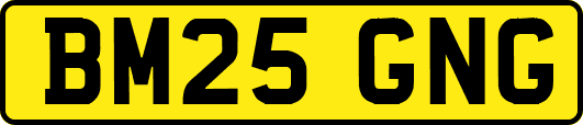 BM25GNG