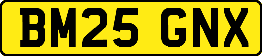 BM25GNX