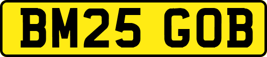 BM25GOB