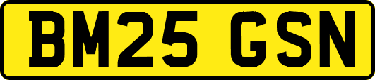 BM25GSN