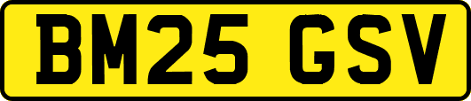 BM25GSV