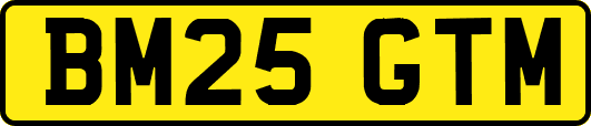 BM25GTM