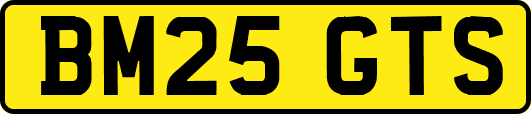 BM25GTS