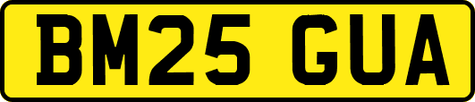 BM25GUA