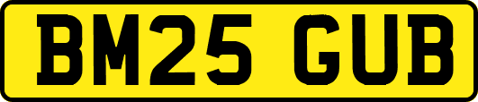 BM25GUB
