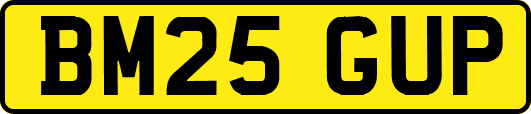 BM25GUP