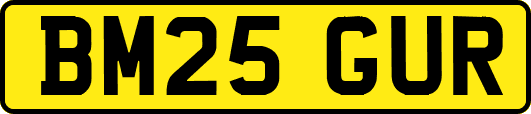 BM25GUR