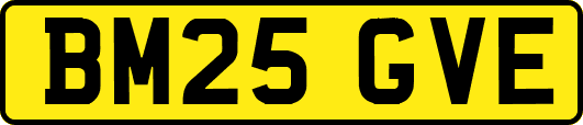 BM25GVE