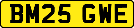 BM25GWE