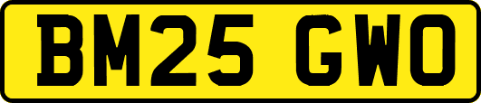 BM25GWO