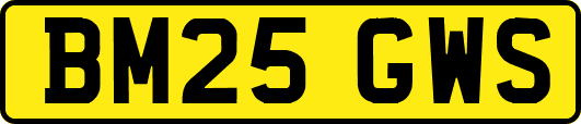 BM25GWS