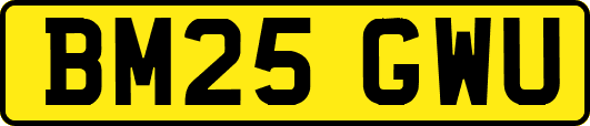 BM25GWU