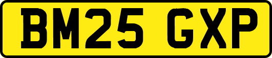 BM25GXP