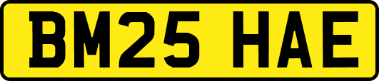 BM25HAE