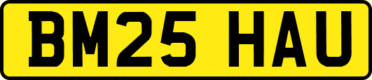 BM25HAU