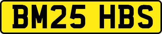 BM25HBS