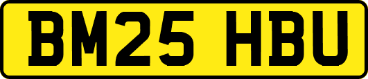 BM25HBU