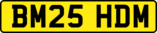 BM25HDM