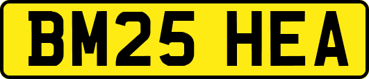 BM25HEA