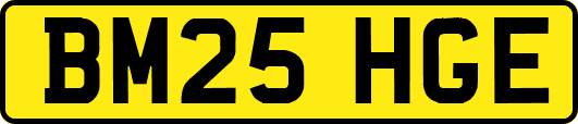 BM25HGE