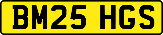 BM25HGS