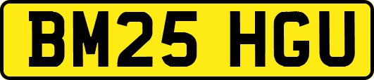 BM25HGU