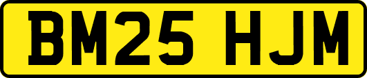 BM25HJM
