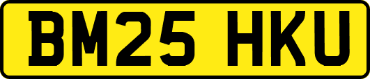 BM25HKU