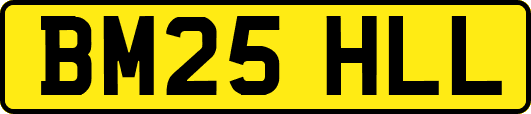 BM25HLL