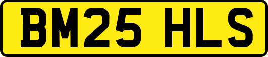 BM25HLS