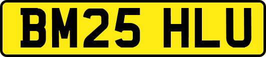BM25HLU