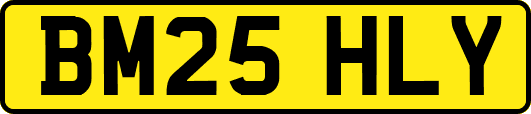 BM25HLY