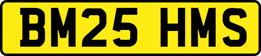 BM25HMS