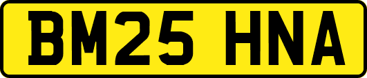 BM25HNA