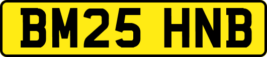 BM25HNB