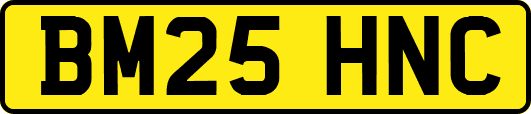 BM25HNC