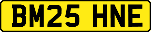 BM25HNE