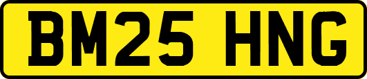 BM25HNG