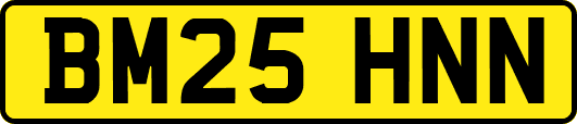 BM25HNN