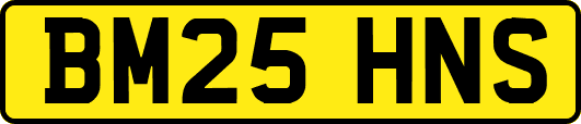 BM25HNS