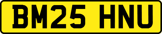 BM25HNU