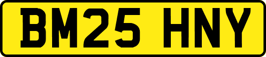 BM25HNY