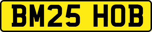 BM25HOB