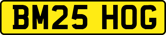 BM25HOG