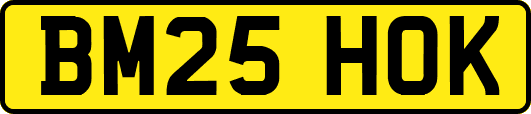 BM25HOK