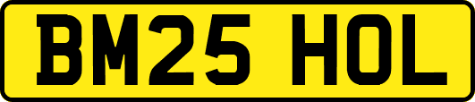 BM25HOL