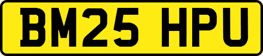 BM25HPU
