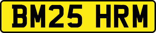 BM25HRM